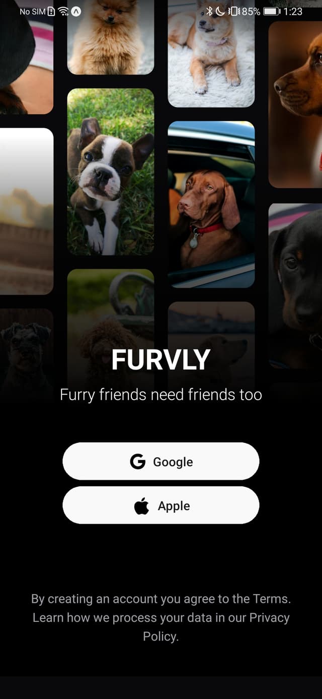 Furvly App Screenshot